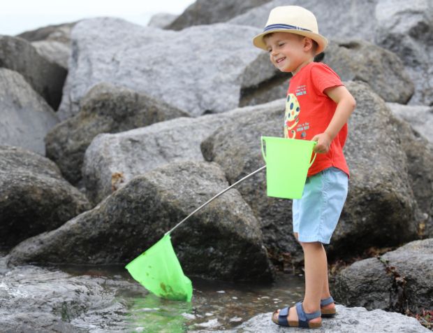 Rockpooling at Holywell Beach in Eastbourne